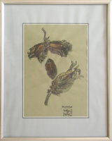 Click to enlarge Highslide JS